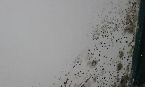 0.png 家里靠近窗戶的墻發(fā)霉了是怎么回事,該怎么辦?