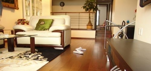 家居日常地板清潔保養有技巧